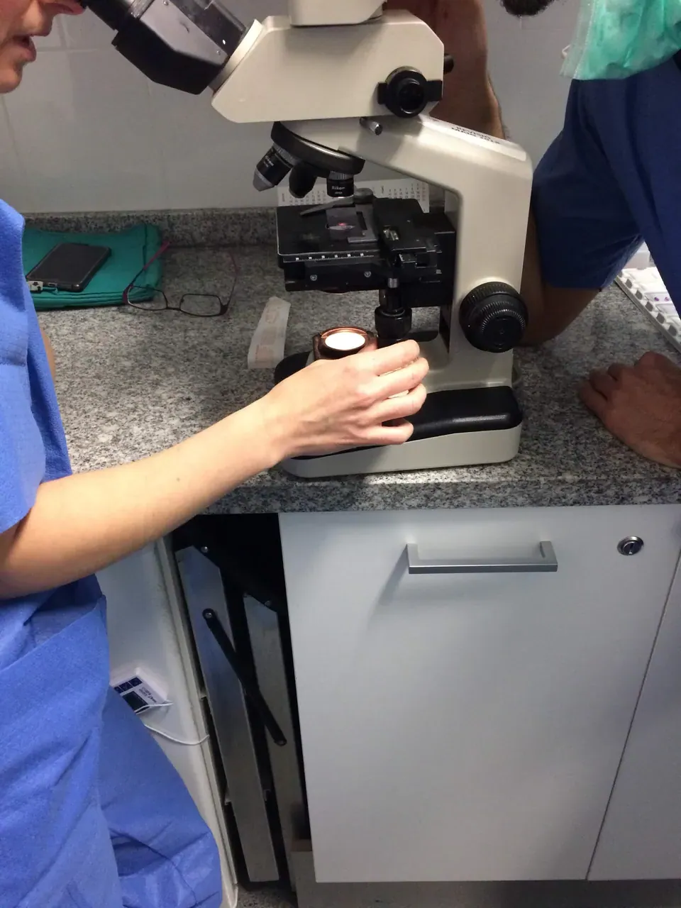 Microscopía